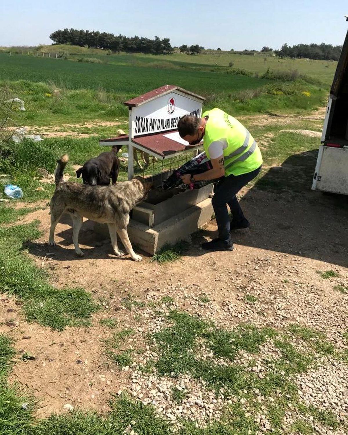 Tam kapanmada sokak hayvanları unutulmadı