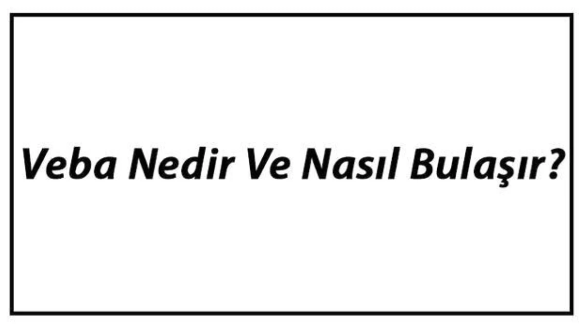 Veba Nedir ve Nasıl Bulaşır? Veba Nedenleri, Belirtileri ve Tedavisi