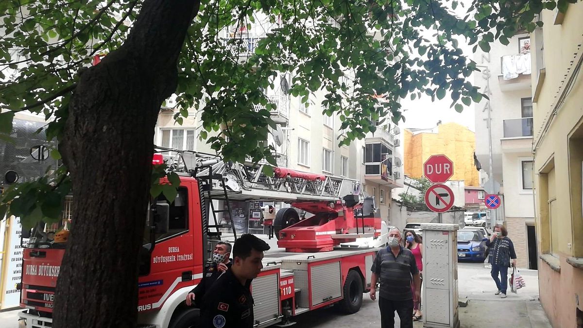 Son dakika haber | Ağaçta kalan kediyi itfaiye kurtardı