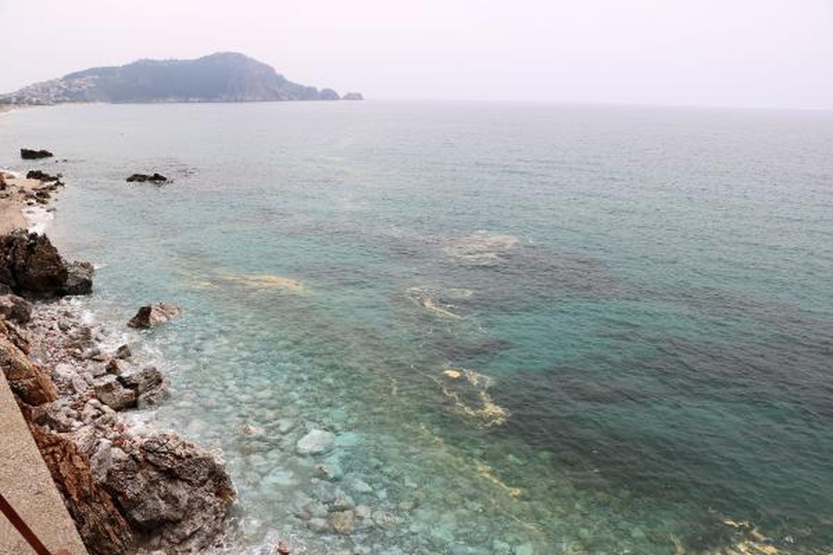 Alanya kıyılarında deniz salyası