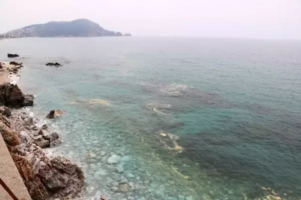 Alanya kıyılarında deniz salyası Alanya kıyılarında deniz salyası