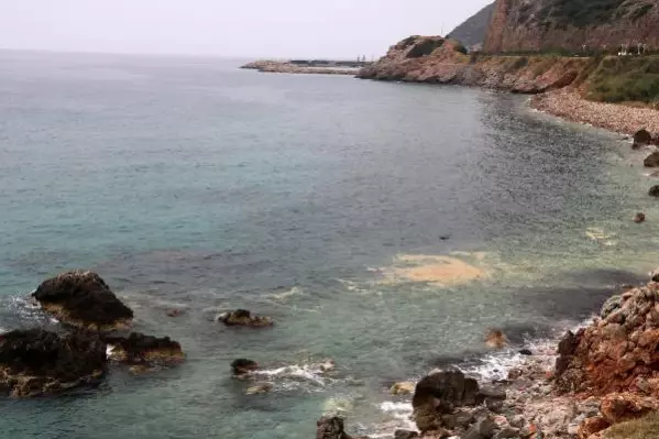 Alanya kıyılarında deniz salyası Alanya kıyılarında deniz salyası