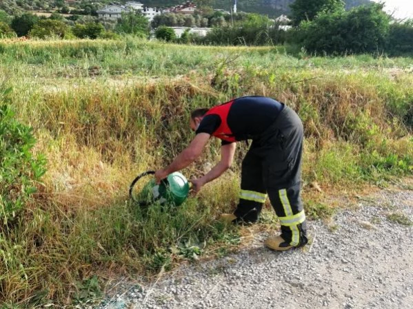 Fethiye'de eve giren yılan paniğe neden oldu