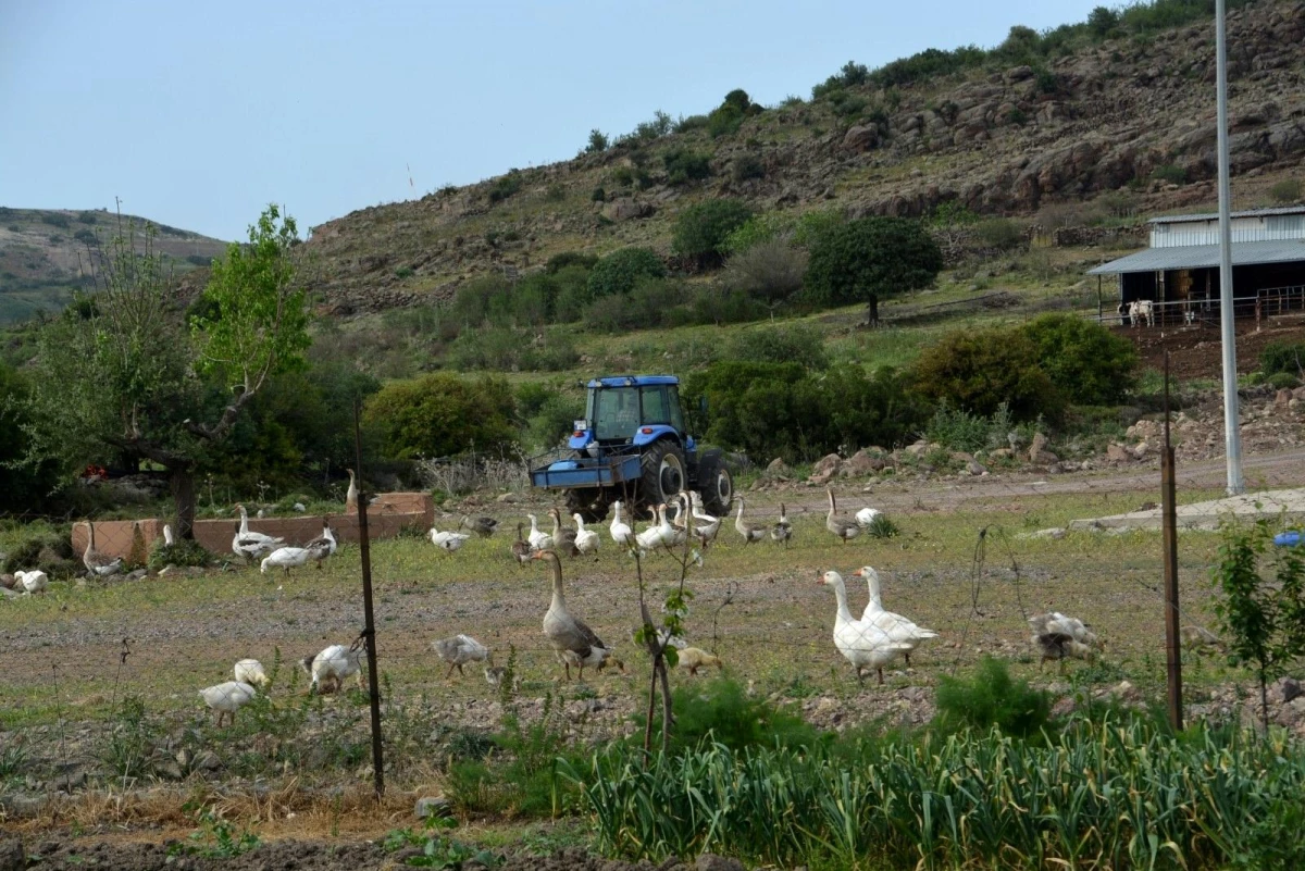 Kırsal mahallerde yaşayan vatandaşlar tam kapanmada ekonomiye katkı sağlıyor