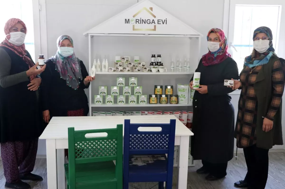 Moringa bitkisi sayesinde iş kadını oldular