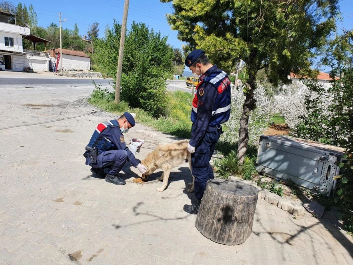 Muğla\'da Vefa Sosyal Destek Grubu\'nun çalışmaları aralıksız devam ediyor