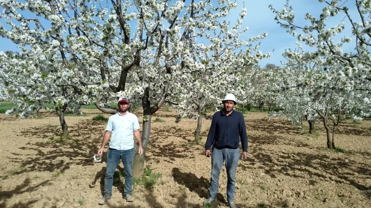 Pazarlar rengârenk çiçek açtı