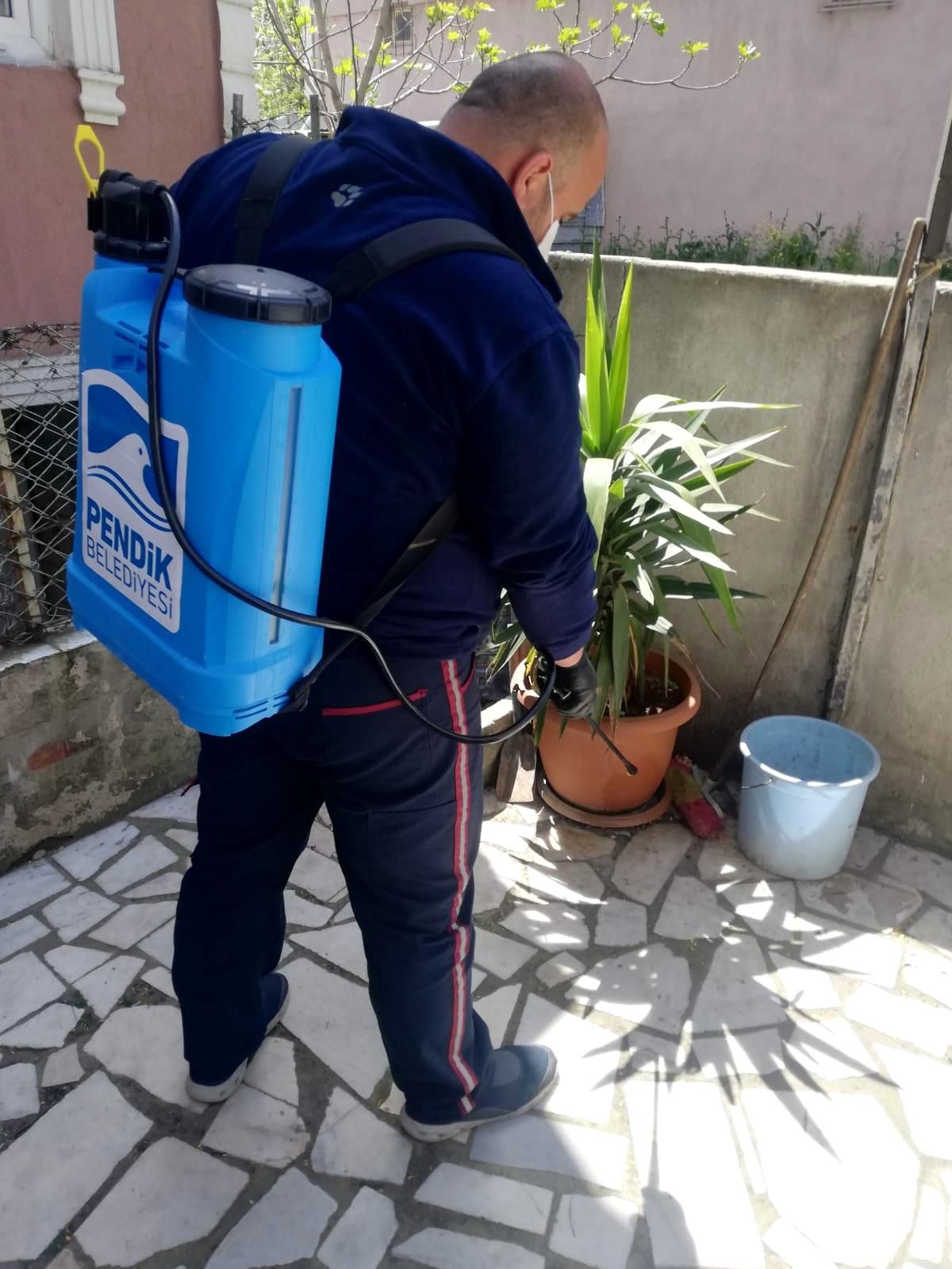 Pendik Belediyesi ekipleri ilaçlamalara başladı