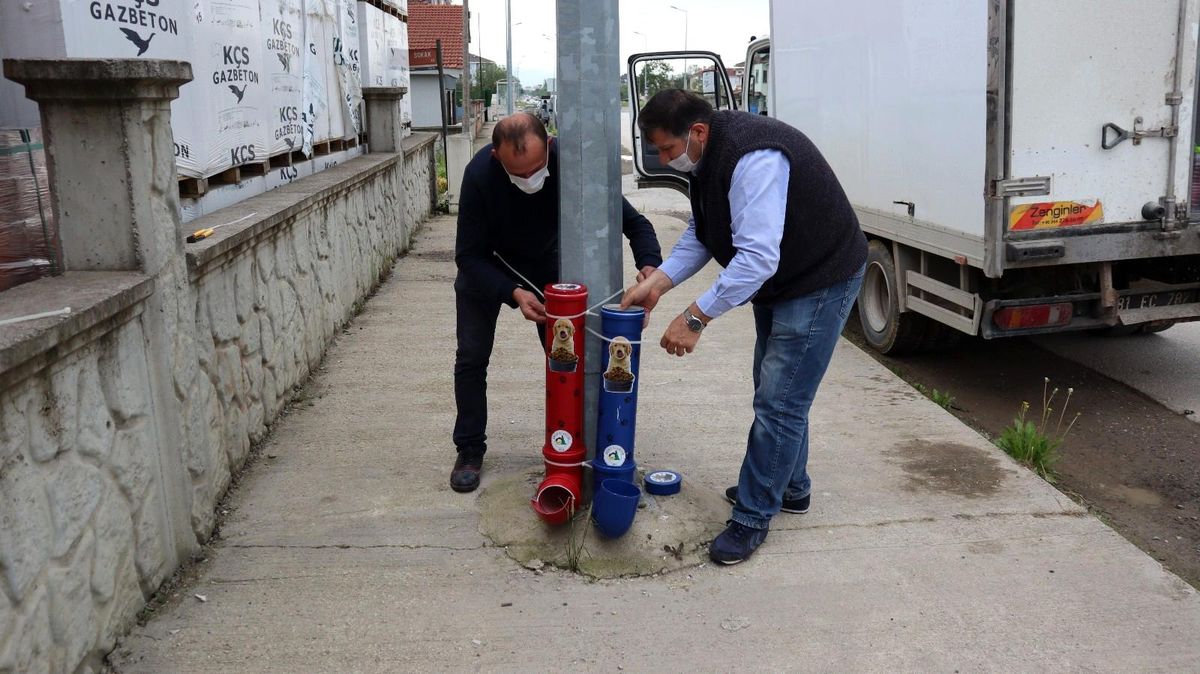Sokak hayvanları kısıtlamada aç kalmadı