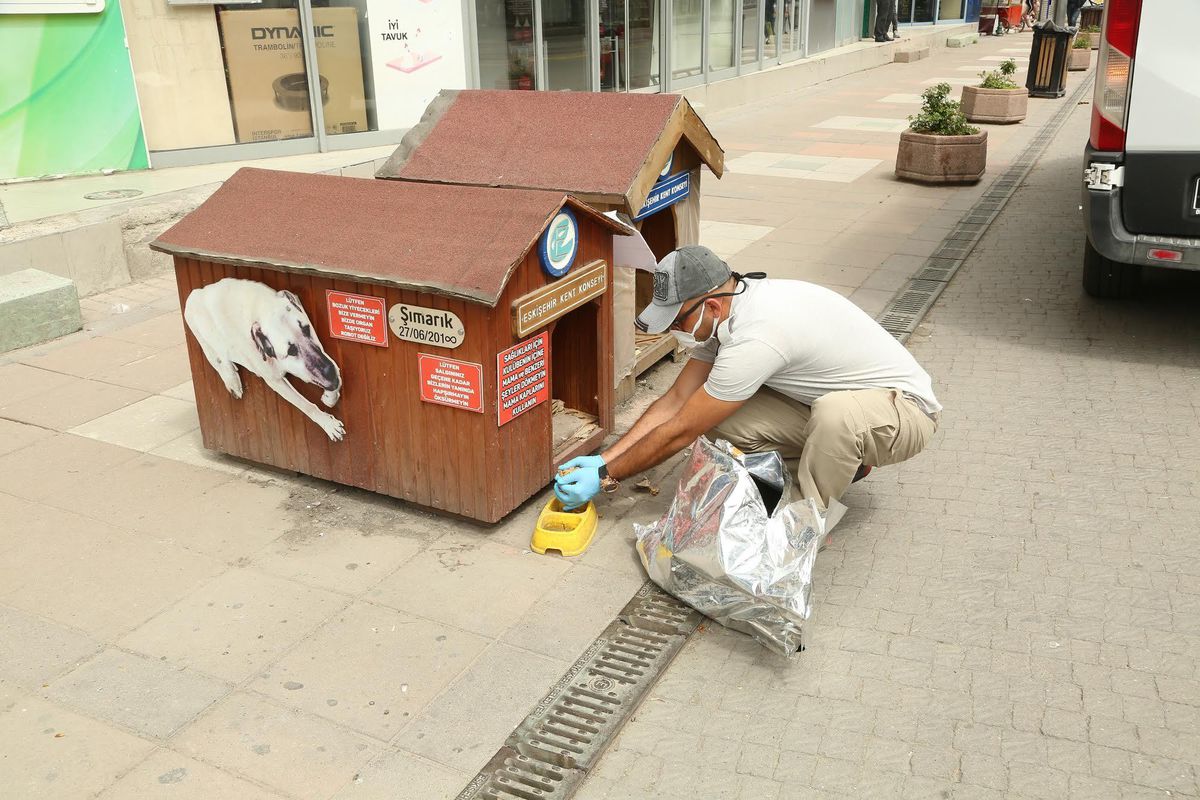 Tam kapanmada sokakta yaşayan dostlarımız unutulmadı