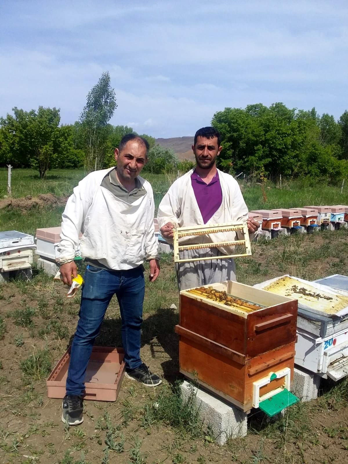 Tuzluca\'da Arı sütü sağımı başladı