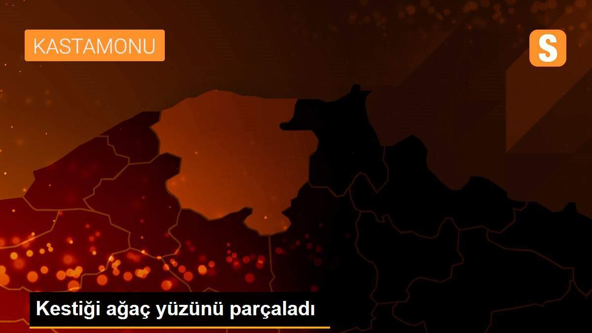 Kestiği ağaç yüzünü parçaladı
