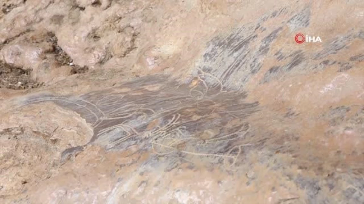 Mersin\'de bir mağarada bulunan 8 bin yıllık kaya resimleri için ilk adım atılıyor
