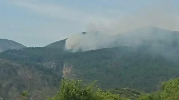 MUĞLA'DA ORMAN YANGINI, 2 HEKTAR ALAN KÜL OLDU