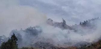 Osmaniye'deki orman yangınında 5 hektarlık alan zarar gördü