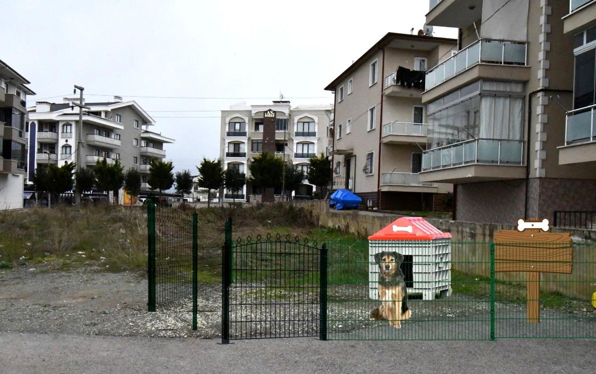 Sokak hayvanları için özel proje