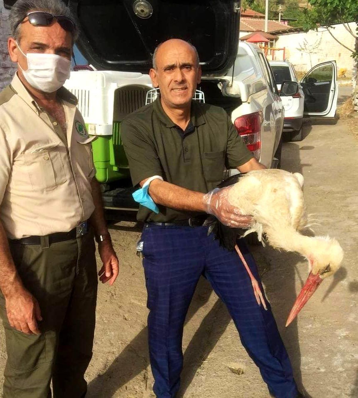 Yaralı leylek tedavi altına alındı