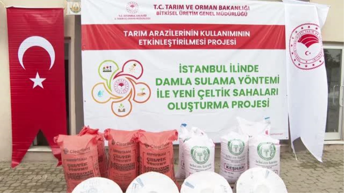 Çatalca\'da çiftçilere çeltik tohumu ve damlama sulama boruları dağıtıldı