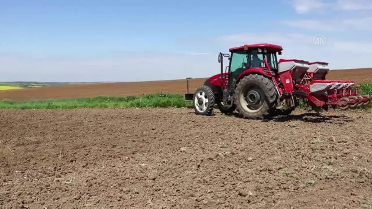 Çiftçiler tam kapanma sürecinde ayçiçeği tohumlarını toprakla buluşturuyor