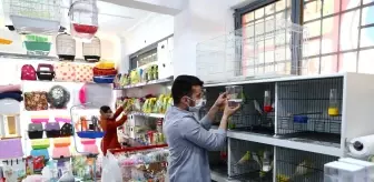 Engelleri aşan iki arkadaş birlikte 'Engelsiz Pet Shop' açtı