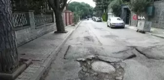 Kartal'da yarım asırlık ağaçlara 'Nefes Borusu' ile can veriliyor