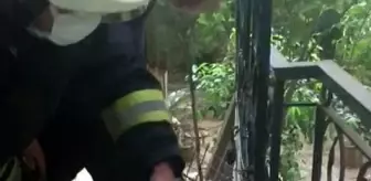 Korkuluklara sıkışan köpek kurtarıldı