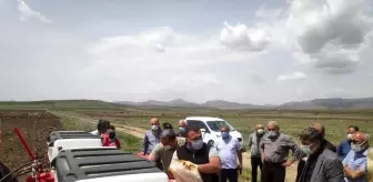 Malatya'da Kayısıya Alternatif: Kabak