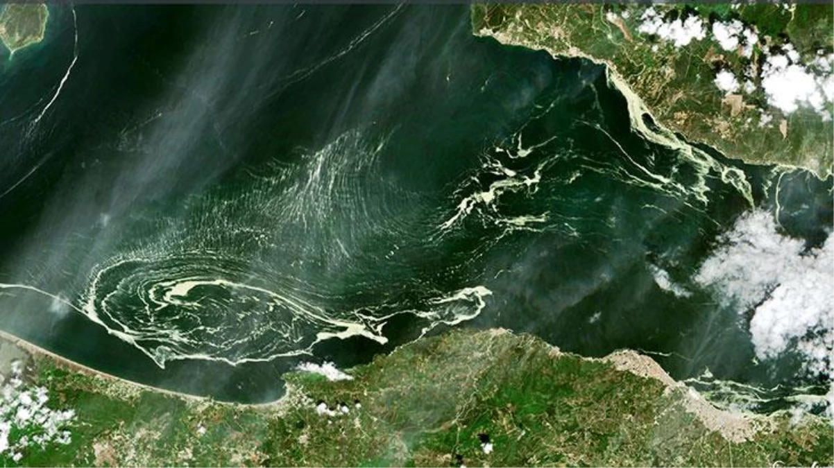 Marmara Denizi\'nde salya kabusu dinmiyor! Deniz salyalarının uydudan görüntüleri endişe veriyor