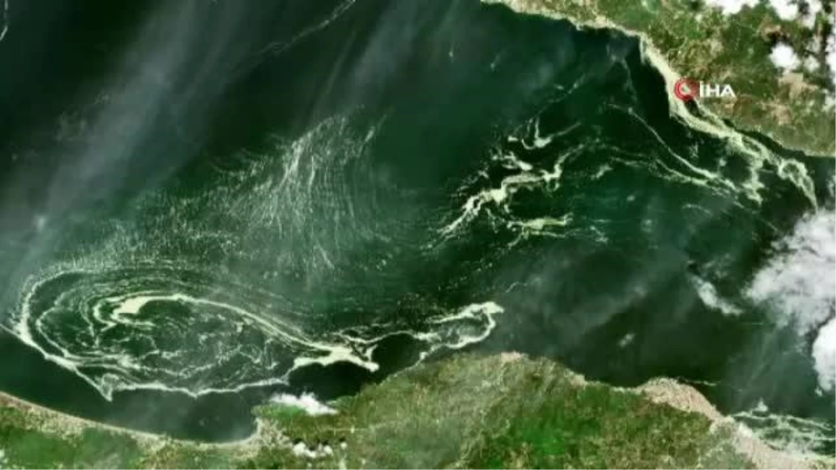 Marmara Denizi\'ni saran deniz salyaları uydudan böyle görüldü