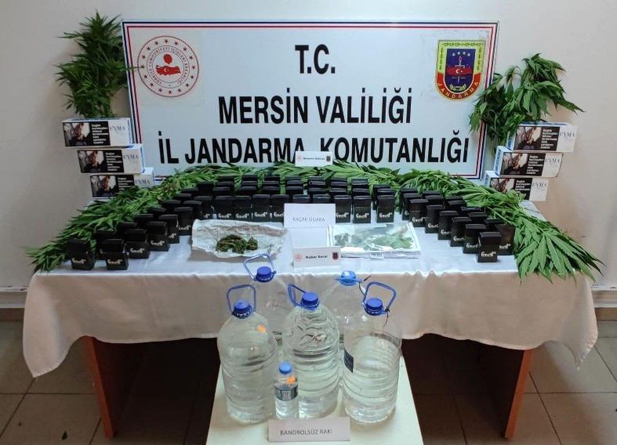 Mersin\'de 85 kök kenevir bitkisi ele geçirildi