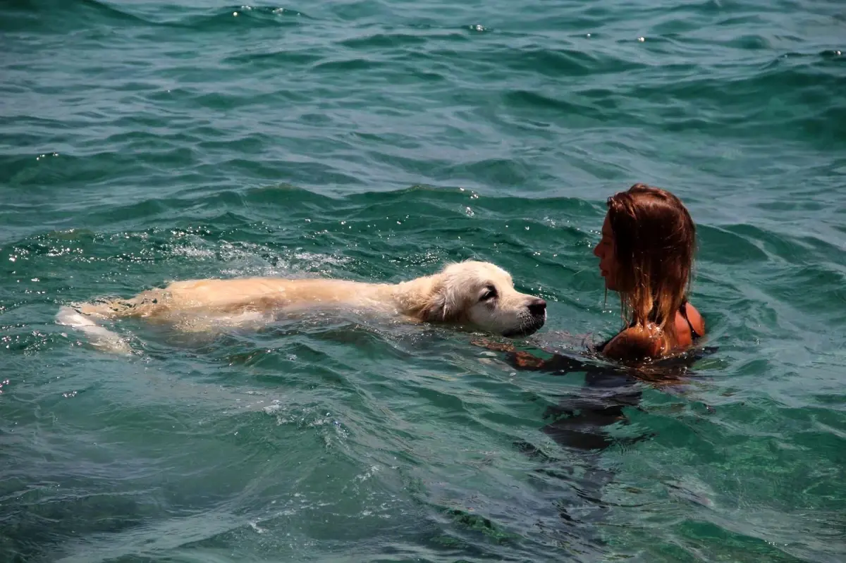 Rus turist, 9 bin kilometrelik yoldan getirdiği köpeğiyle Antalya\'da deniz keyfi yaptı