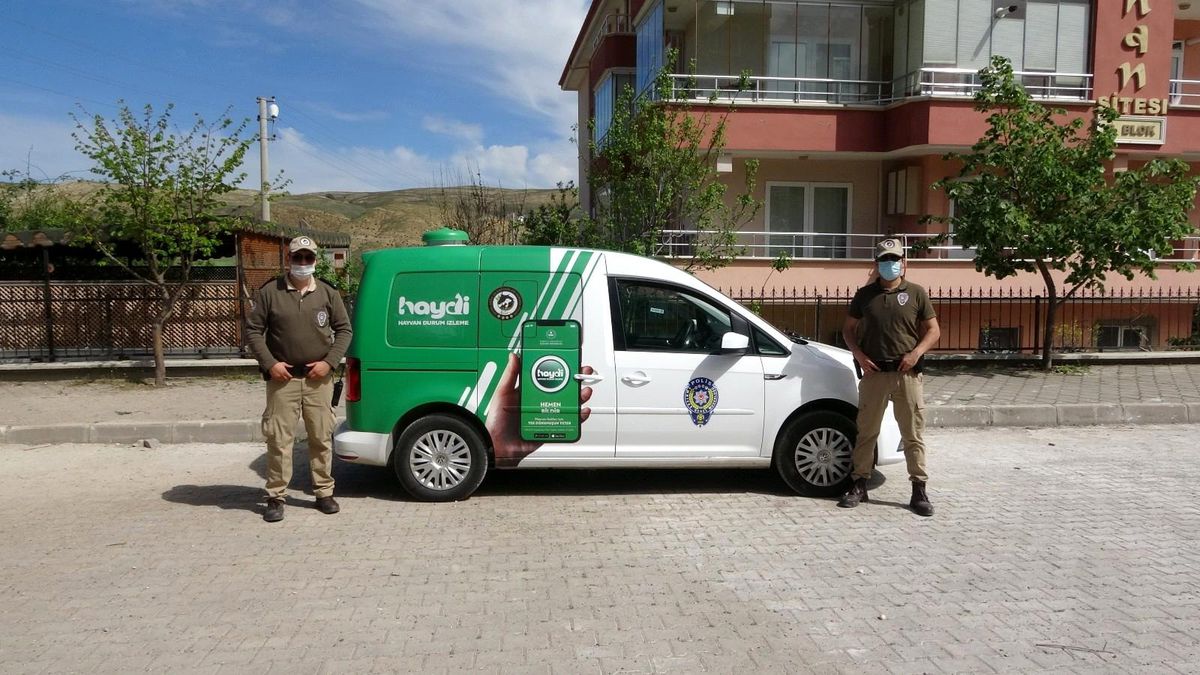 Tam kapanmada sokak hayvanları için \'HAYDİ\' devrede