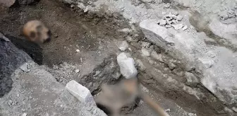 Tarihi Kadıkalesi kazılarında 13'üncü yüzyıldan kalma insan iskeletleri bulundu