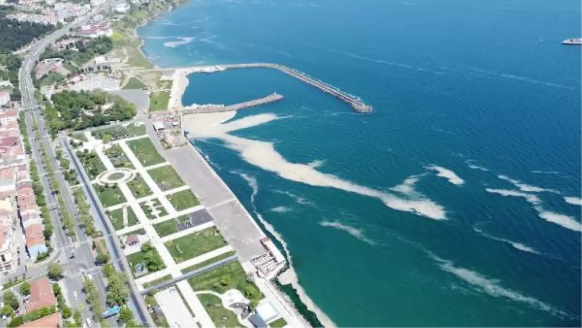 Tekirdağ\'da deniz salyası nedeniyle balıkçılar denize açılamıyor