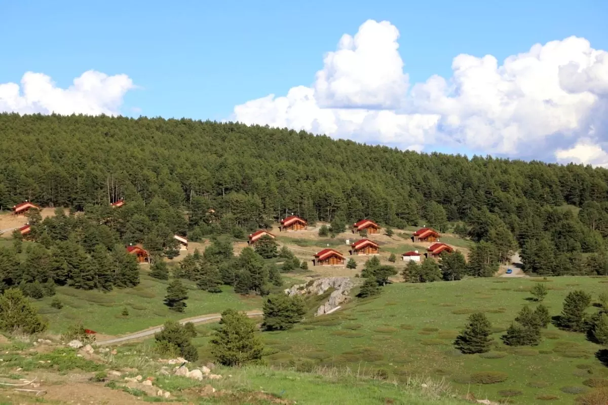 Vali Makas, Dumanlı Tabiat Parkında incelemelerde bulundu