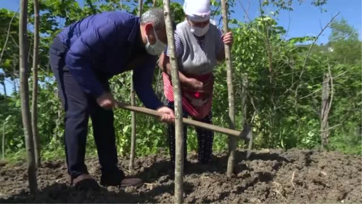 Vali Sonel, ot biçti, fındığa ilaç attı, toprağa tohum dikti