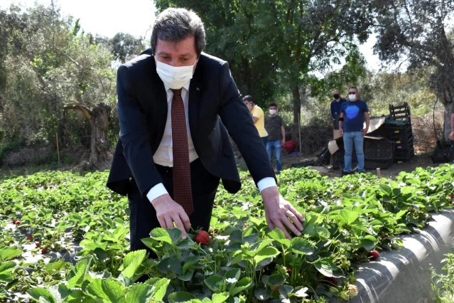 Muğla Valisi Orhan Tavlı, tarım üreticilerini ziyaret etti