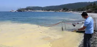 Antalya'da denizin yüzeyini saran sarı tabakanın çevre kirliliğinden kaynaklandığı iddiası