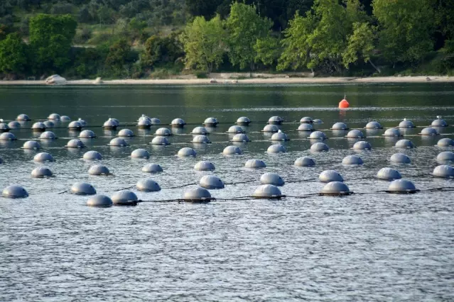 Bakan Pakdemirli Marmara Denizi'nde midye hasat etti Bakan Pakdemirli Marmara Denizi'nde midye hasat etti