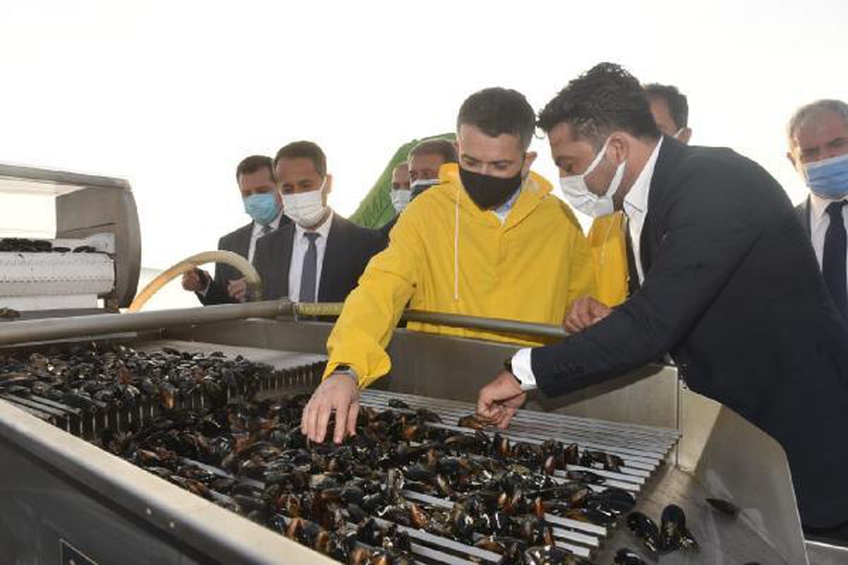 Tarım ve Orman Bakanı Bekir Pakdemirli: "Kıyı balıkçılarımıza da bir müjde vermiş olalım. Her yıl onlara da bin lira ödüyorduk, genelde sene sonuna...