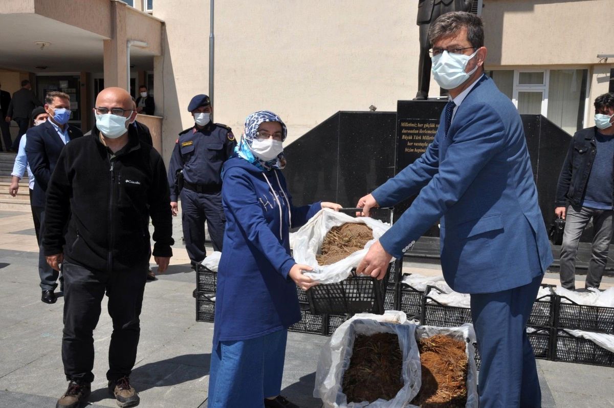 Çiftçilere 60 bin çilek fidesi dağıtıldı
