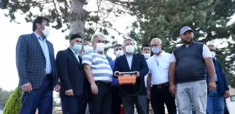 Çorum şehitliğinin çehresi değişiyor