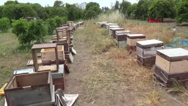 Gezgin arıcılardan 'geçiş üstünlüğü' talebi