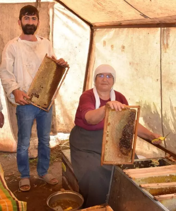 Gezgin arıcılardan 'geçiş üstünlüğü' talebi