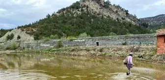 Köylerde çeltik ekimine başlandı