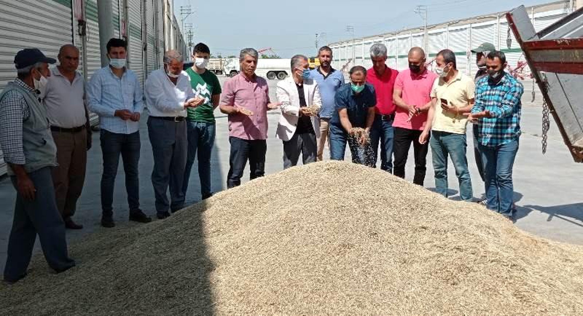 Mardin\'de sezonun ilk arpası 2 lira 5 kuruştan alıcı buldu