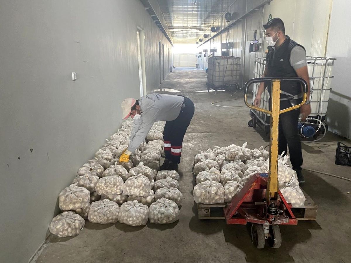 Nevşehir Belediyesinden üreticilere destek