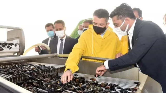 Tarım ve Orman Bakanı Bekir Pakdemirli'den, kıyı balıkçılarına ödeme müjdesi Tarım ve Orman Bakanı Bekir Pakdemirli'den, kıyı balıkçılarına ödeme müjdesi