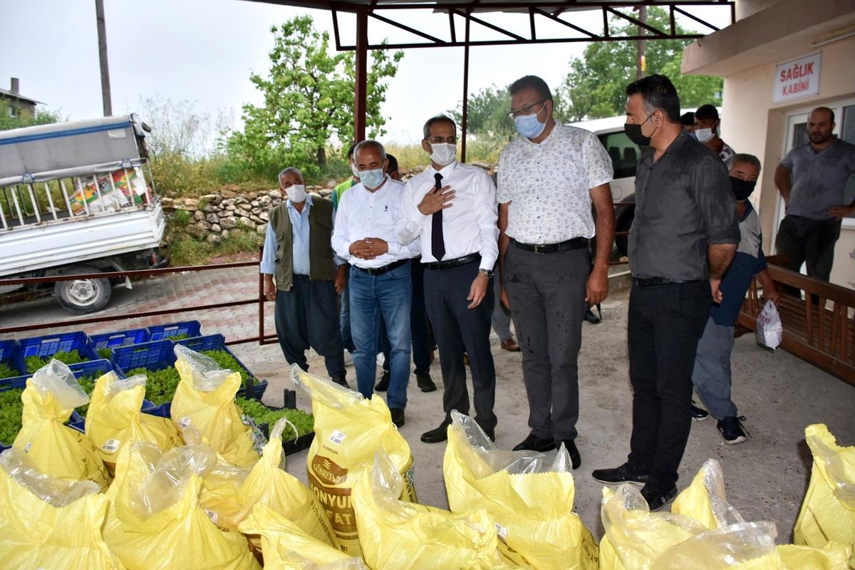 Tarsus Belediyesi çiftçilere 7 ton gübre, 50 bin marul fidesi dağıttı