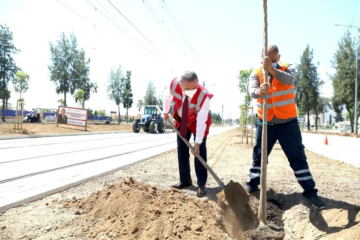Tramvay hattı turunç çiçeği kokacak